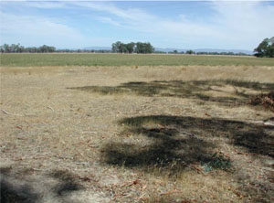 WLRA Landform Drung alluvial plain