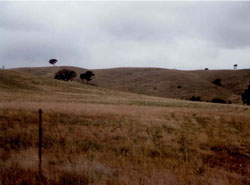 WLRA Landform Elmhurst footslopes