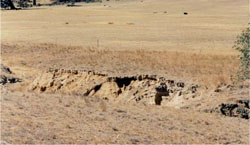 WLRA Landform Elmhurst footslopes