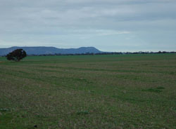 WLRA Landform Fairview plains