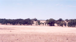 WLRA Geomorphic Units 5.5.3