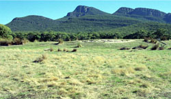 WLRA Landform Grampians ranges