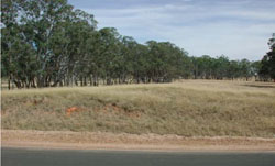 WLRA Landform Horsham Lakes lunette clusters