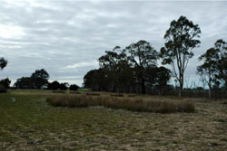 WLRA Landform Horsham Lakes and lunettes