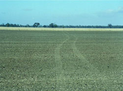 WLRA Landform Kalkee plains 2