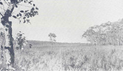 WLRA Landform Kanawinka sand sheets and dunes