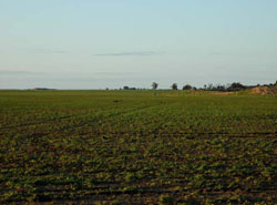 WLRA Landform Kellalac ridge crests