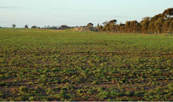 WLRA Landform Kellalac ridge crests