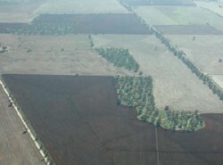 WLRA Landform Kiata rises