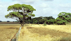 WLRA Landform Kiata rises