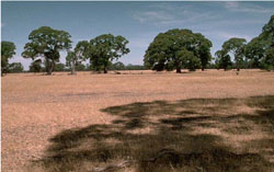 WLRA Landform Kybolite plains