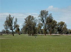 WLRA Landform Kybolite plains