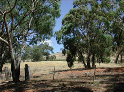 WLRA Landform Landsborough footslopes