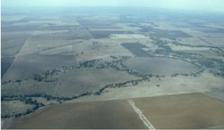 WLRA Landform Longerenong prior stream plains