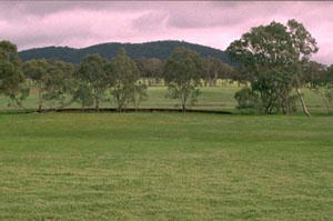 WLRA - soil pit LP80- landscape