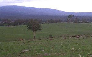 WLRA - soil pit LP83- landscape