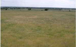 WLRA - soil pit LS10- landscape