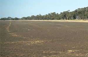 WLRA - soil pit LS13- landscape
