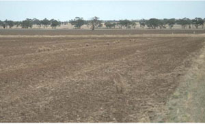 WLRA - soil pit LS15- landscape