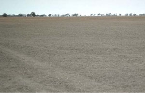 WLRA - soil pit LS16- landscape
