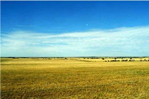 WLRA - soil pit LS23- landscape