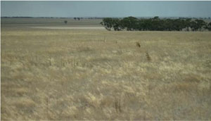 WLRA - soil pit LS26- landscape