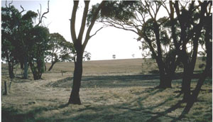 WLRA - soil pit LS3- landscape