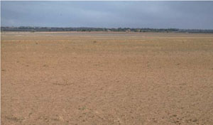 WLRA - soil pit LS8- landscape
