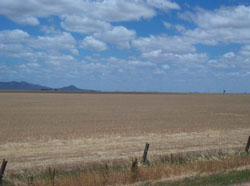 WLRA Landform Lubeck alluvial plains