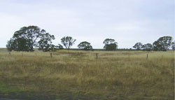 WLRA Landform Merryvale lakes and ridges
