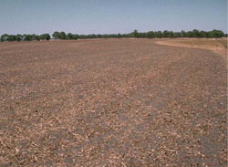 WLRA Landform Minimay plains