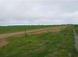 WLRA Landform Morton drainage plains