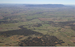 WLRA Landform Mount Cole Creek