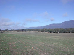 WLRA Landform Mount William Creek1