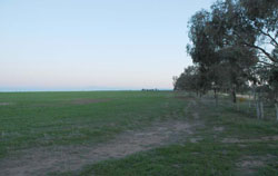 WLRA Landform Murtoa box flats