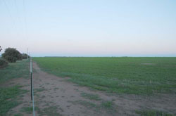 WLRA Landform Murtoa box flats
