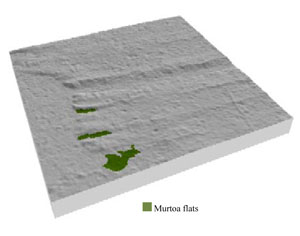 WLRA Landform Murtoa box flats