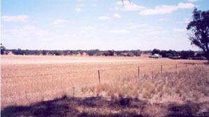 WLRA - soil pit NA174- landscape