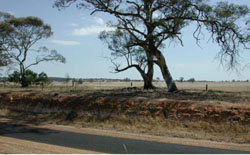 WLRA Landform Navarre foothills