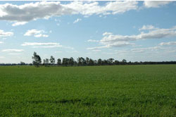 WLRA Landform Nhill Lake and lunettes