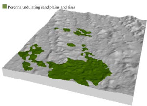 WLRA Landform Perenna undulating sand plains and rises