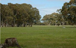 WLRA Landform Powers Creek gently undulating sand plain