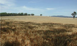 WLRA Landform Quantong dunes and swales