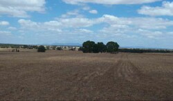 WLRA Landform Riverside level plains