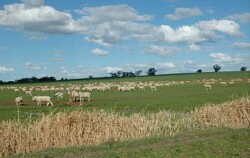 WLRA Landform Servicetown North limestone rises