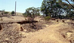 WLRA Landform Surridge footslopes