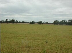 WLRA Landform Telangatuk plains