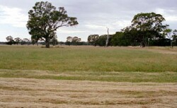 WLRA Landform Telangatuk plains