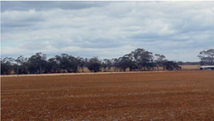 WLRA - soil pit Topcrop 2- landscape