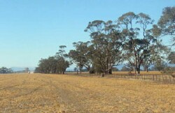 WLRA Landform Wal Wal prior stream plains